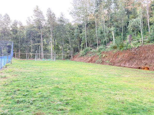 Casa En Parcela Venta 4d/4b Piscina En Rio Plata - Pucón
