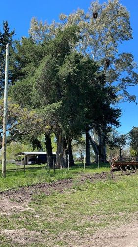 Chacra Sobre Ruta 20 Gualeguaychu!