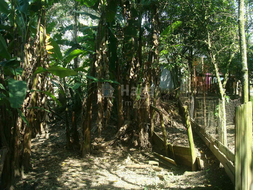 Imagem 22 de 30 de Chácara À Venda No Bairro Pedras Grandes - Botuverá/sc - 1998c