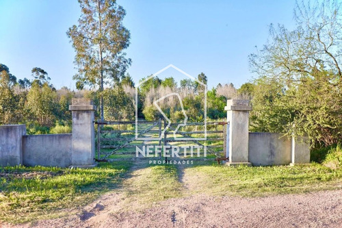 Venta Chacra 4 Hectareas En Pando Con Casa Y Gran Parque Arbolado