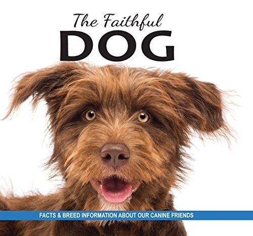 The Faithful Dog Facts And Breed Information On Our Canine F