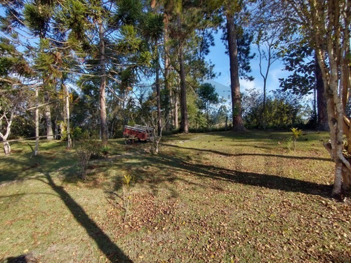 Imagem 19 de 30 de Exuberante Sítio Completo, Rico Em Água Com Nascente Própria, 02 Lagos Piscosos. Excelente Oportunidade!!! Localizado Em Juquitiba/sp - 27 - 32982809