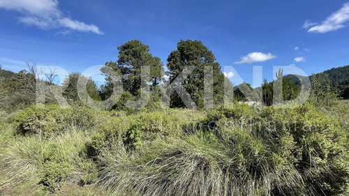 Imagen 9 de 27 de Terreno En Venta Salazar, Estado De México