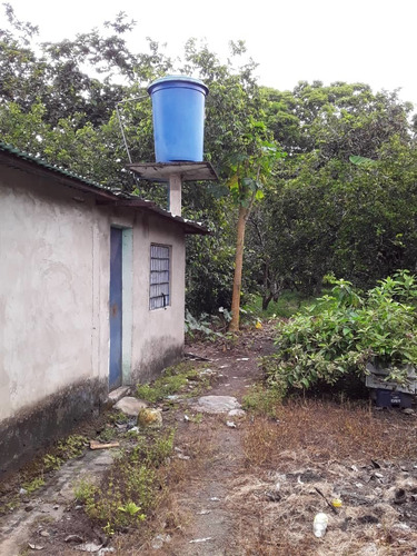Imagen 3 de 7 de Se Vende Finca Paraiso San Luis Edo. Monagas Ve02-1028sluis-cmass