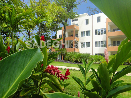 Encantador Apartamento De 2 Habitaciones Con Vista A La Piscina Infiniti Blu
