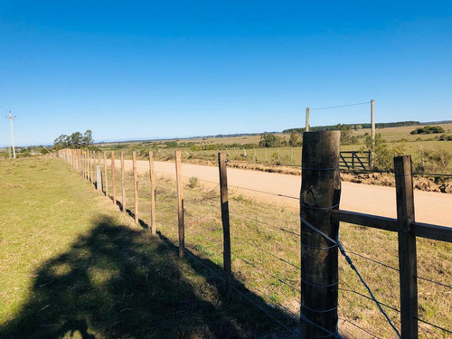 Chacra - José Ignacio