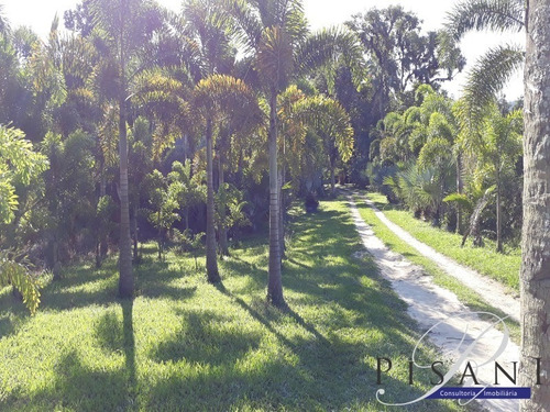 Sitio - St00012 - 33660008