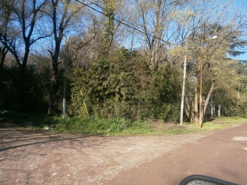 Imagen 1 de 6 de Terreno En Venta En Muñiz