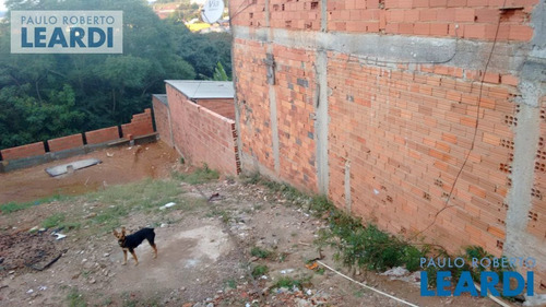 Imagem 8 de 13 de Terreno - Residencial Jardim Paraná - Sp - 505882