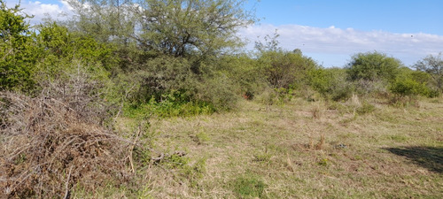 Lote, Terreno En Traslasierra, Córdoba. Los Pozos