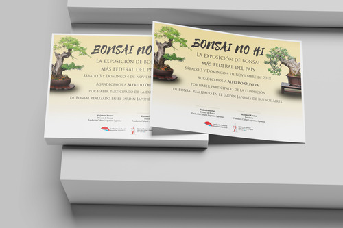 100 Diplomas A4