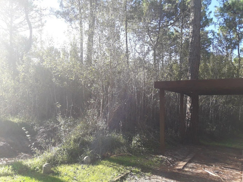 Imagen 7 de 14 de Dueño Vende Lote 21*49=1.029 Metros-20 Pinos De Gran Altura