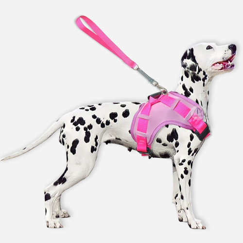 Coleira Para Cachorros Peitoral Com Alça Stillo Pit Bull Pet