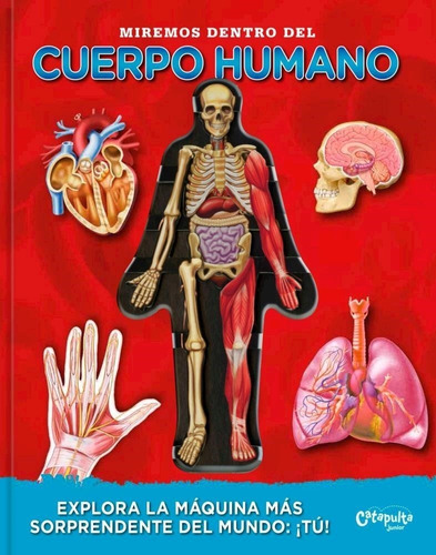 Miremos Dentro Del Cuerpo Humano - Catapulta Librum