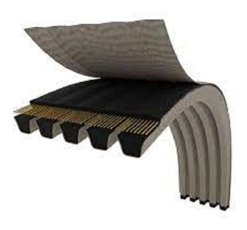 Banda Multiple Lisa B190 ( 12 Costillas ) Black Gold