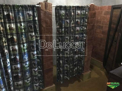 Imagem 15 de 18 de Chácara À Venda Em Jardim Independência - Ch003619