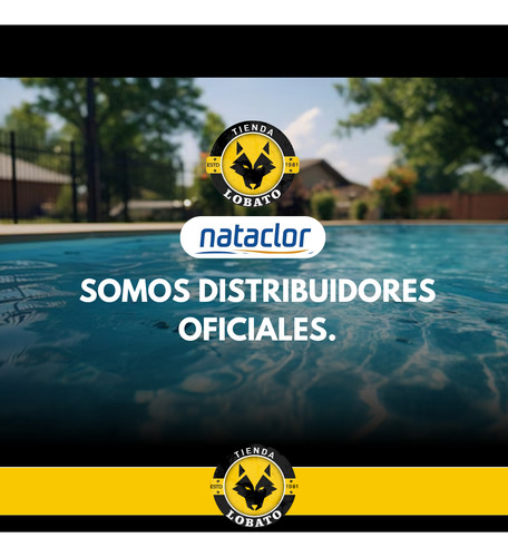 Combo Clarificador Mas Alguicida X 1l Para Pileta Nataclor