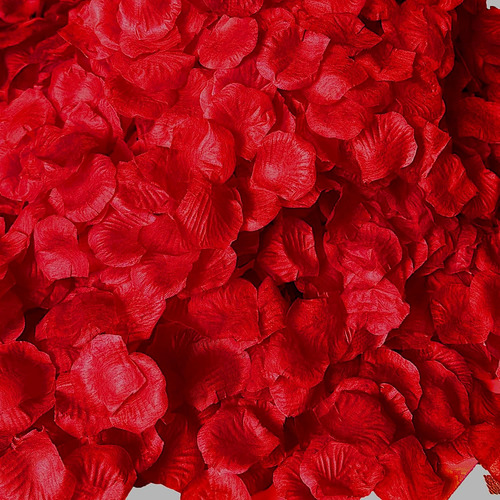 4600pcs Pétalos De Rosa Roja Noche Romántica Ella Set...