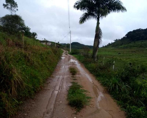 Fazenda - 0001 - 32820427