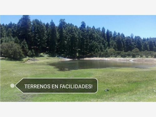 Imagen 10 de 12 de Terreno En Venta Dentro De Impresionante Bosque, Tenemos Lotes Escriturados!