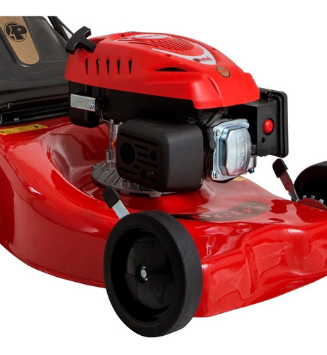 Imagen 4 de 8 de Cortadora De Cesped Petri 4 Hp Trituradora 3004031 - Cuotas