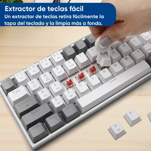 Dapon Kit De Cepillos Limpieza Para Teclado, Pc Y Audífonos