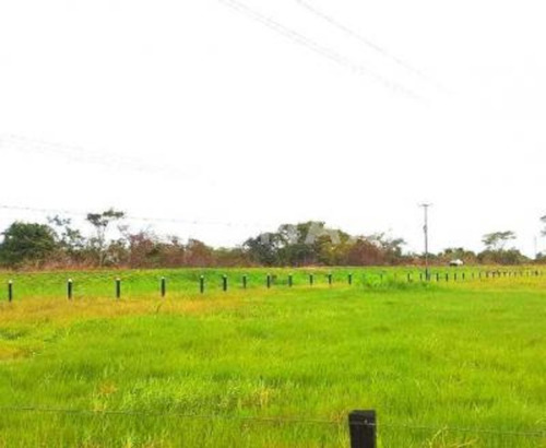 Imagen 3 de 15 de Finca En Venta Vía El Sur. Maturín (1)
