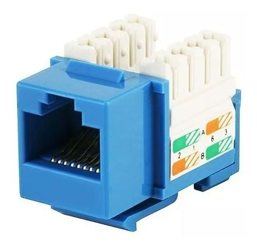 Jack Rj45 Cat6 Conector Hembra Red Utp Azul Xcase