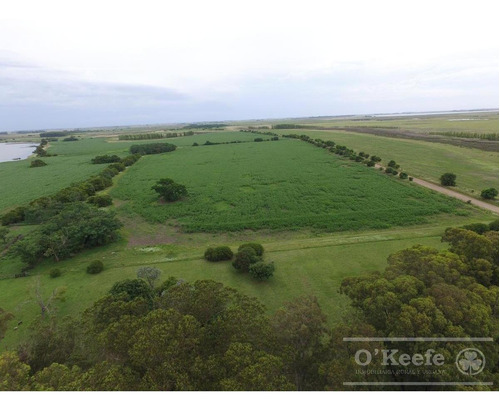 Imagen 5 de 12 de 900 Has Mixtas En Venta En Chascomus - Estancia Histórica Con Laguna. Ideal Turismo O Privado Rural