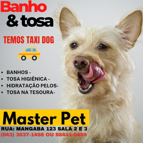 Imagem 1 de 5 de Pet Shop Master Pet - Banho - Tosa Higiênica - Tosa Tesoura.