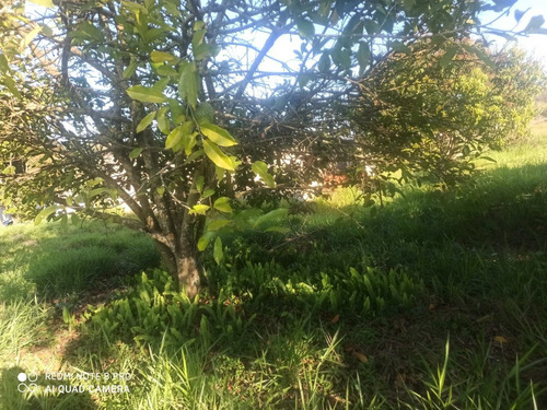 Ig Mude De Vida Com Sua Família! Terrenos Guararema