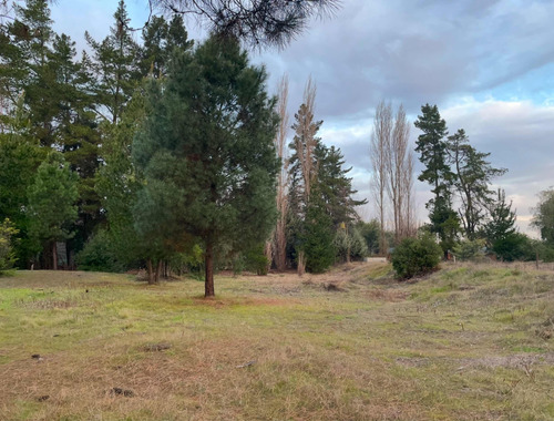 Terrenos 1.500m² Con Acceso A Laguna $76mm Sin Pie Ni Bancos