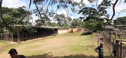 Imagen 27 de 27 de Se Vende Finca El Maitero Via El Sur De Monagas Ve02-1098vs-mtru