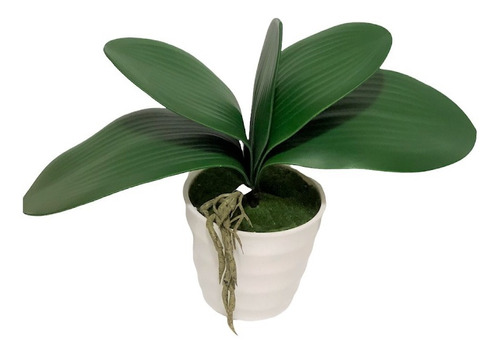 Hojas Orquídea (phalaenopsis) Artificial
