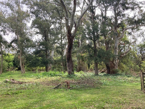 Imagen 4 de 9 de Lote En Venta En Ruta 2