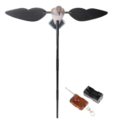 Asas De De Pombo Motorizadas Ao Ar Livre