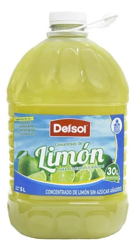 Botella Delsol Concentrado Limón 5l