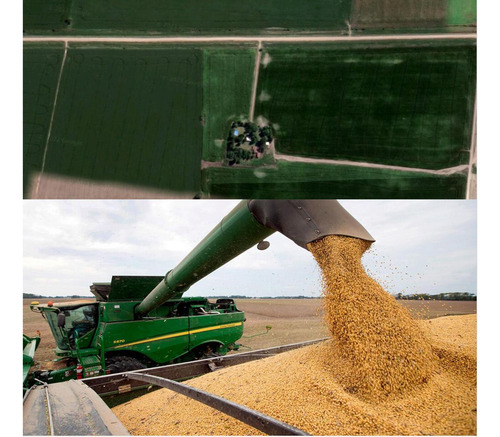 Campo De 30 Hectáreas En Pergamino