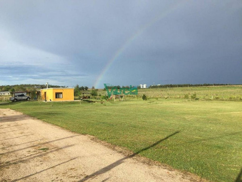 Imagen 10 de 12 de Chacra De 4 Has Con Casa En San Bautista - Balnearios Parque Del Plata