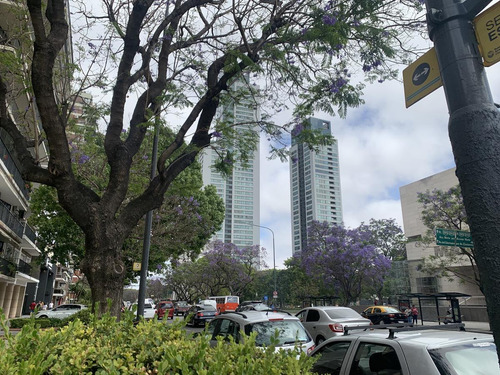 Imagen 3 de 30 de Departamento En Venta En Le Parc
