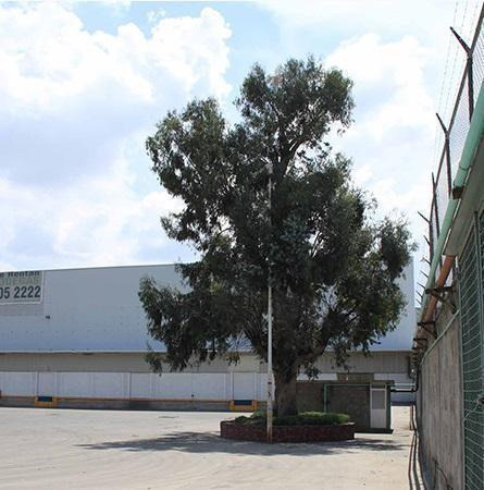 Imagen 4 de 6 de Renta De Nave Industrial En Tepotzotlán
