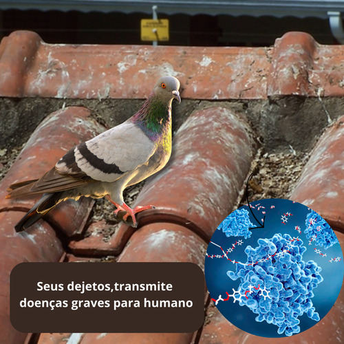 Espanta Repele Morcego Pombo Pardal Maritaca Xô Pássaros