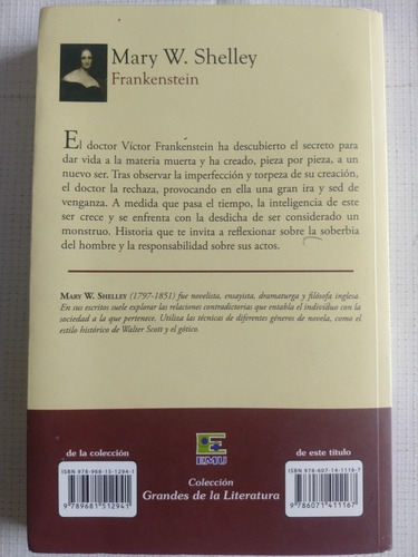 Libro Frankestein Mary W Shelly Y