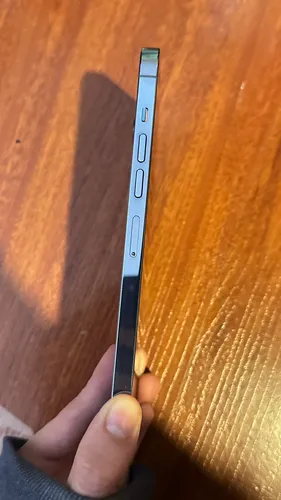 iPhone 13 Pro Max (Usado)