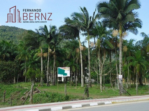 Imagem 4 de 15 de Terreno - Macacos - Ref: 2996 - V-3506