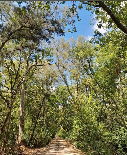 Venta De Terreno En El Barrio Los Bosquecitos