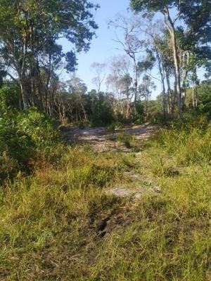 Imagem 3 de 3 de Terreno No Jardim Anchieta, Em Itanhaém.