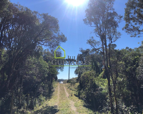 Imagem 9 de 22 de Linda Chácara Com 30.000 M² Á Venda Em Rancho Queimado, Sc - Ch00018 - 69903101