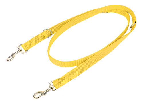 Correa Para Pasear Perros, 2 M, Doble Hebilla, Nailon, Flexi