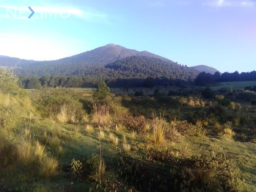 Imagen 3 de 4 de Venta De Terreno En Ajusco, Tlalpan Cdmx